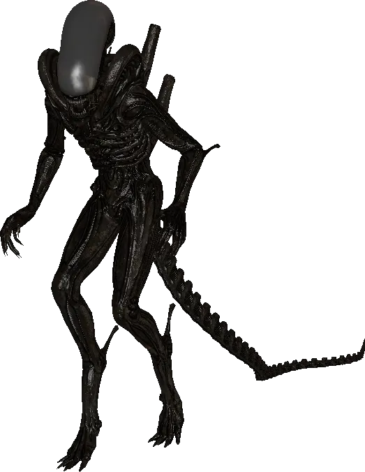 Xenomorph